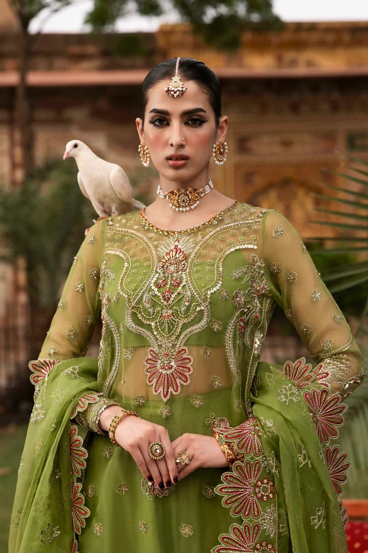 Akbar Aslam Embroidered Organza Suit Ambenrin